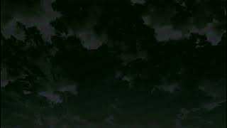 alice phoebe lou - open my door (slowed & reverb)