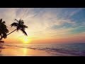 Breathtaking grand cayman tropical beach sunset in 4k for meditation sleep and study