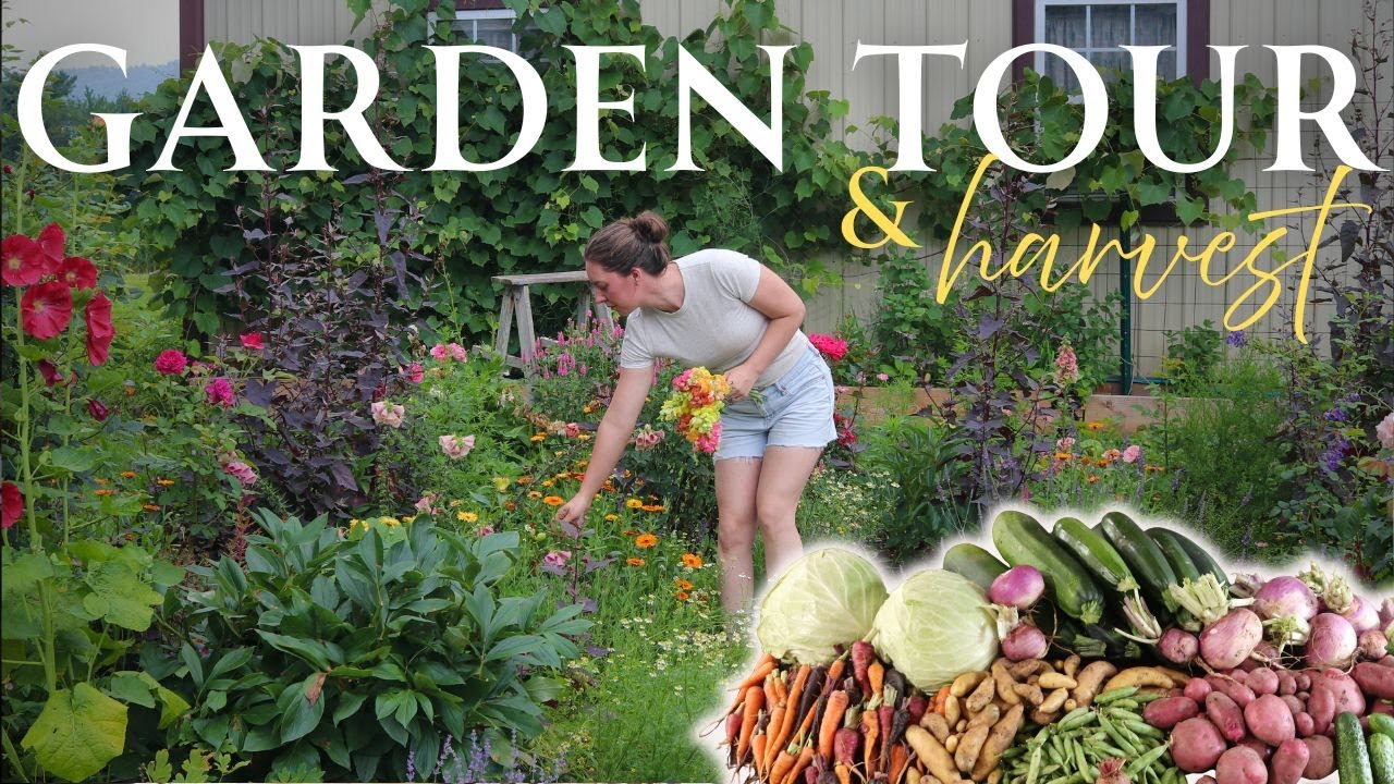 July Garden Tour and A Bountiful Harvest!