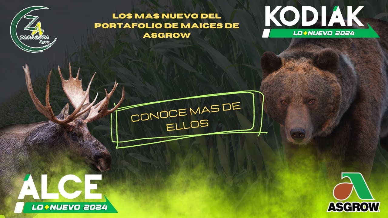 Descubre los 2 nuevos híbridos de ASGROW que cambiarán tu cosecha ...