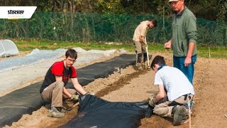 Stesura pacciamatura biodegradabile per l´orto - coltivare l´orto biologico