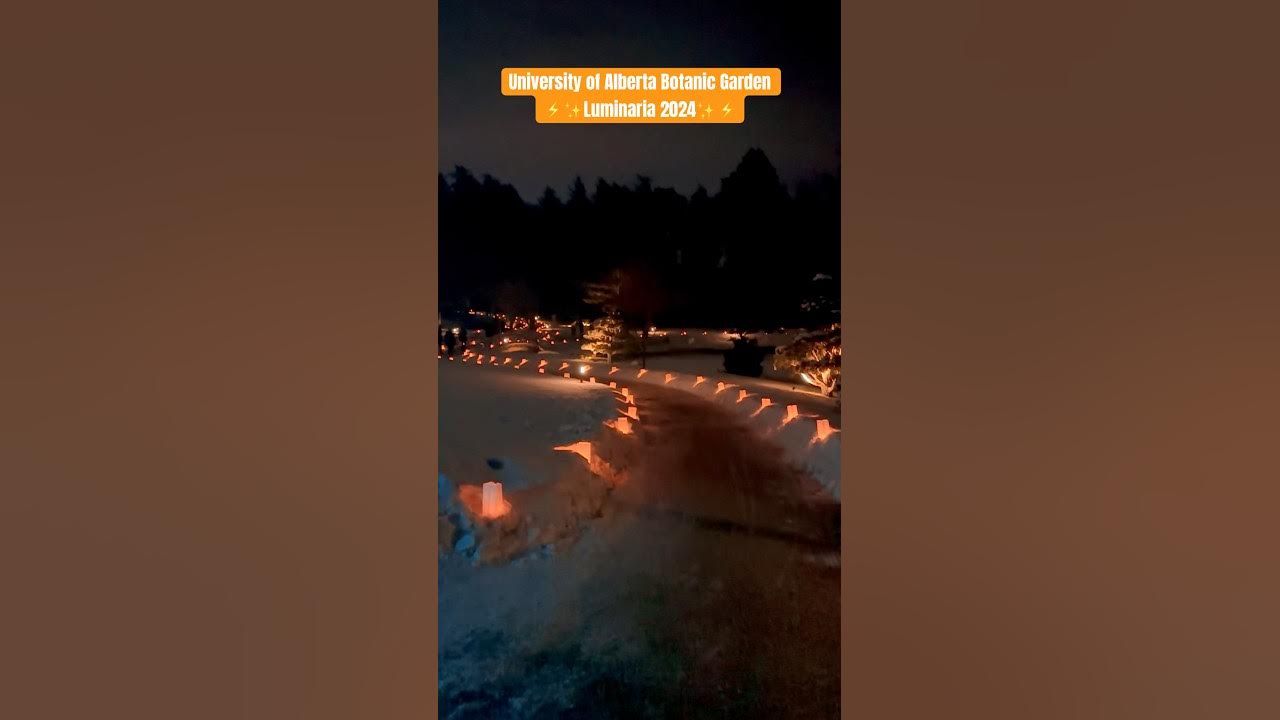 University of Alberta Botanic Garden Luminaria 2024 edmontonalberta 