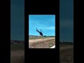 🚁 🛫 #shortsvideo #shortvideo #shorts