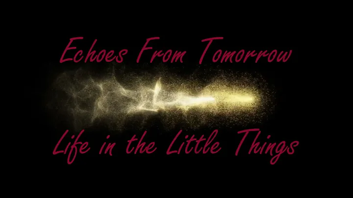 Echoes From Tomorrow - Life in the Little Things | #music #lyrics #lyricvideo #girlband #girlpower