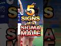 5 Signs Of A Sigma Male