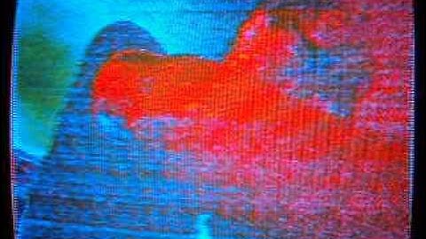 Igor Amokian - Live Beat Chops on circuit bent video mixer by Psycho Synths.