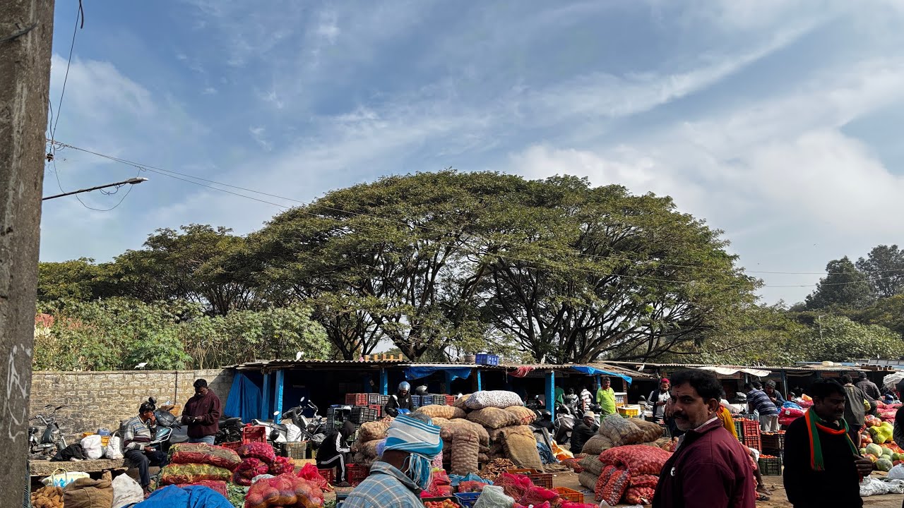 आज एसो हेचल मारकेट र नाया बिरेटको पिजा बनाको कस्तो लाग छ भन्नु ल like 👍 CMT 