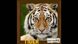 ChatterPix Video EDTS 325