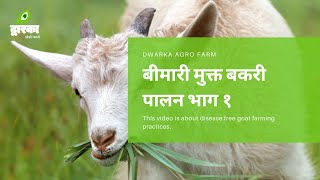 बीमारी मुक्त बकरी पालन भाग १ | Disease free goat farming - Part 1 | शेळ्यांचे रोग मुक्त शेळीपालन.