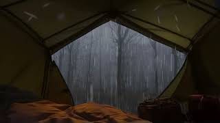 Rain on Camping Day at Deserted Forest that Warm your Soul - ASMR Natural Sounds, Relaxing Music