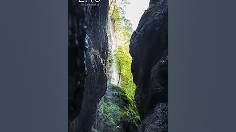 How to use Jio Meet for Live Classes at ICA School Jaipur