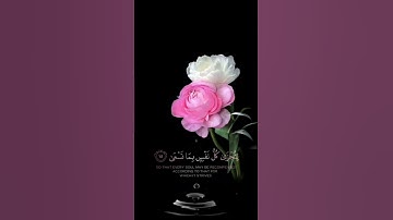 صباح الخير🌸حالات واتساب مقاطع قصيره🌸قران كريم سورة طه انه أنا الله لآإله إلا انا🌸احمد خضر بدون حقوق