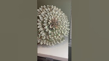 Tutorial for a money bouquet! 💐 #tutorial #howto #moneybouquet