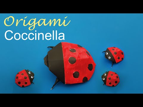 Video: Come Fare Una Coccinella