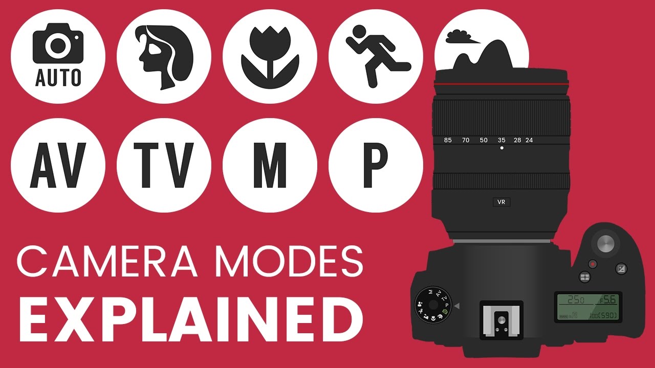 Learn to Use Your DSLR's Automatic Modes