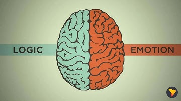 Data Storytelling: How to change statistics into stories that drive business action