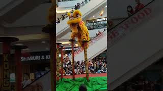 Atraksi Favorit Barongsai