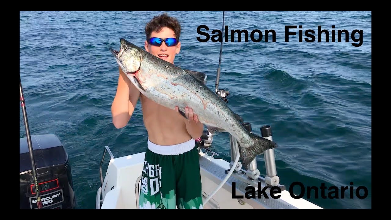 Lake Ontario Salmon Fishing YouTube