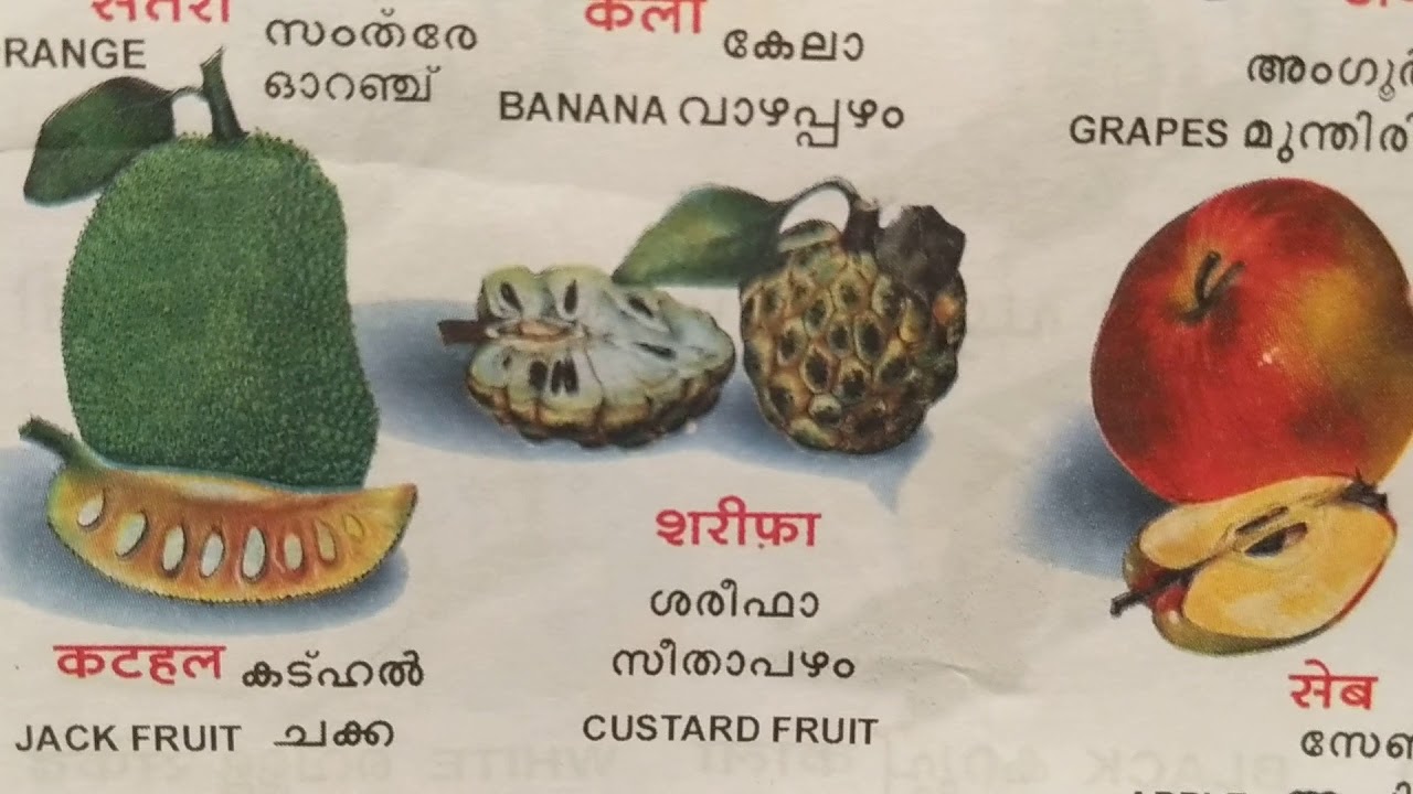 Malayalam Girl Names