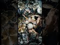 Mammoth's Hand • Drum Play-through w/ Alan Cassidy #tbdm #theblackdahliamurder #mammothshand #drums