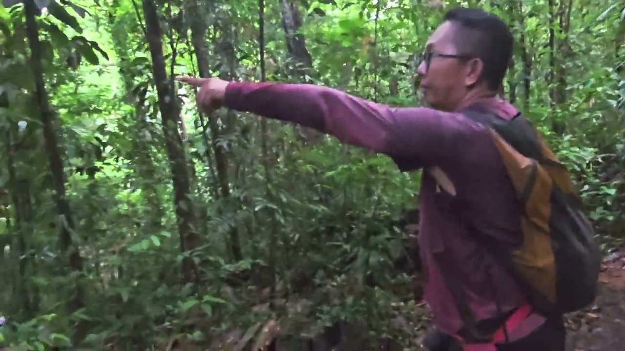 Mus thaij hav zoo zoo nkauj 