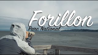 Le Parc National De Forillon - Gaspésie Épisode 3