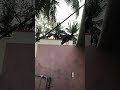 #முருகன்வழிபாடு