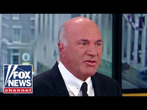 Kevin O'Leary torches NYC hush money case: We look like clowns!