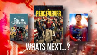 The DCU So Far... What To Expect Next Year