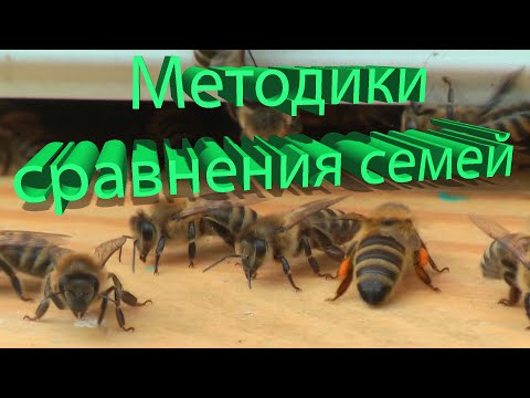 Профессор Кашковский про