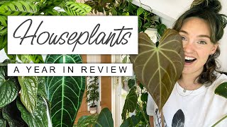 A Planty Year In Review  WHERE ARE THEY NOW? Best Houseplants This Year Reaction
