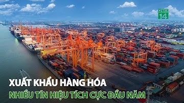 Xuất khẩu hàng hóa nhiều tín hiệu tích cực đầu năm | VTC14