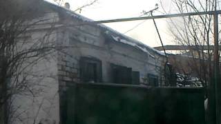 Собака. Как это?!