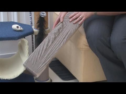 Cat From Scratching Furniture, How To Prevent Furniture Scratching Cats