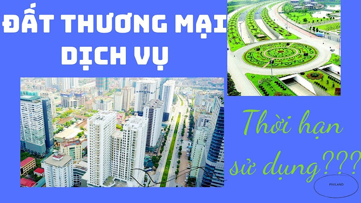 Allintitle đất thương mại dịch vụ là gì năm 2024