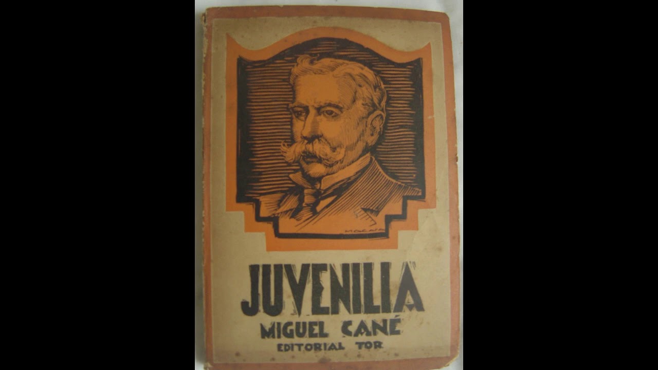 Audio libro Juvenilia Miguel Can Completo
