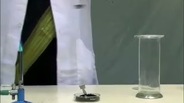 Carbon burns in oxygen