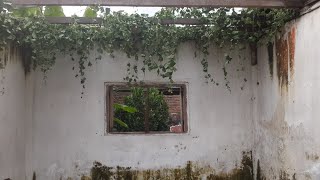 Viral Suara Desahan Misterius Saat Bikin Konten