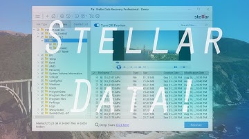 Stellar Data Recovery Professional for Windows