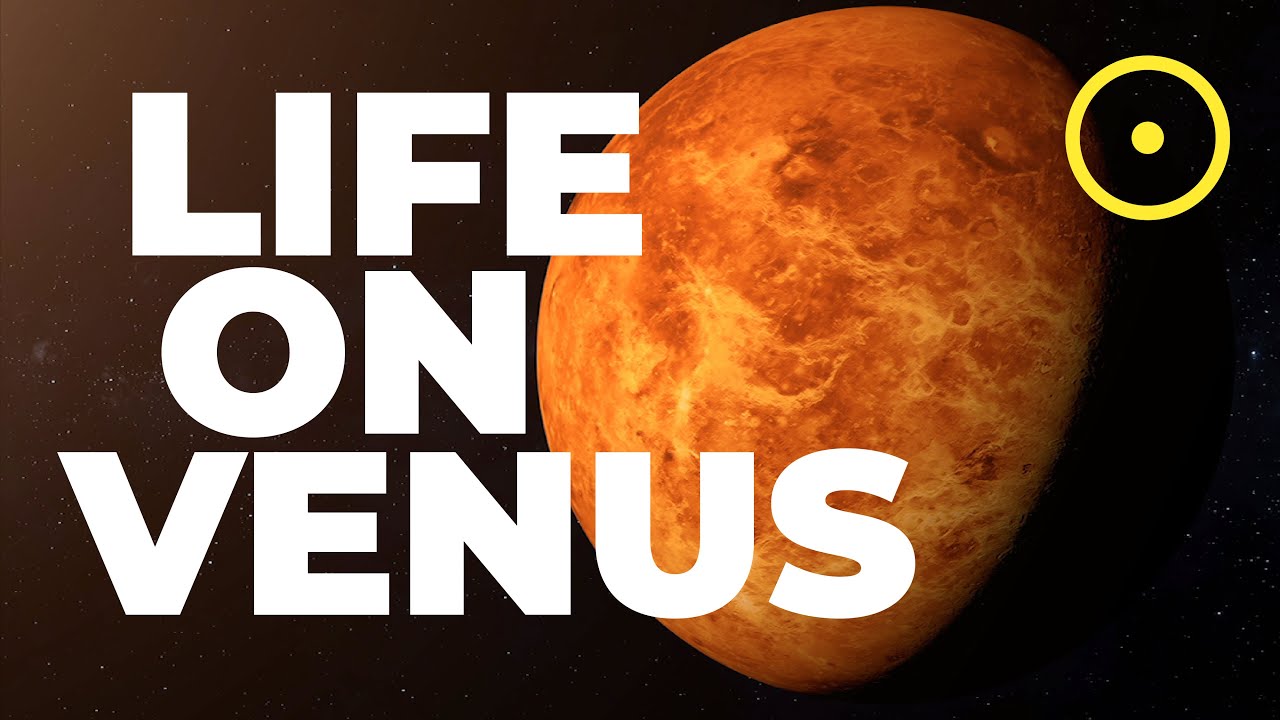 Mace on venus. Венус лайф астрология. Homewards Life on Venus. Venus with Life. Could we Live on Venus.