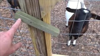 EASY and CHEAP homestead hacks: gates, fences, and latches by gregpryorhomestead 9,765 views 3 years ago 5 minutes, 49 seconds