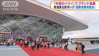 習主席肝いり　中国・海南島で高級ブランド品展(2021年5月7日)