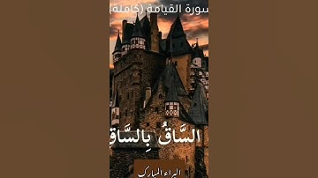 تلاوة هادئة لآيات من سورة القيامة بصوت القارئ الشاب البراء المبارك