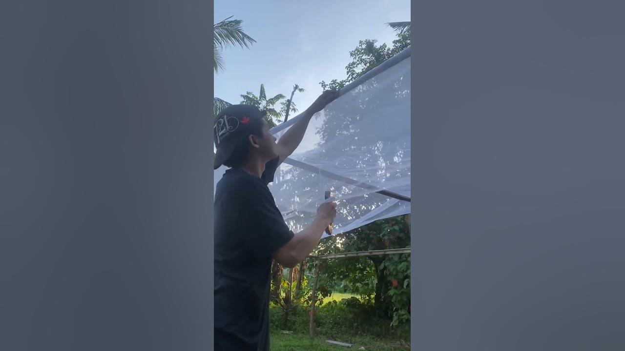 #peaceful #farming #satisfying #bamboo #agriculture #farmlife #gardening #greenhouse