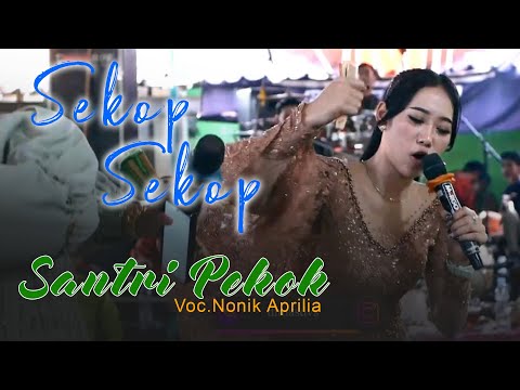 BOCAH GUNUNG (Full Speed \u0026 Skop-Skop) - NONIK APRILIA - ALROSTA DONGKREK - ALFA AUDIO RT1 - AA MEDIA