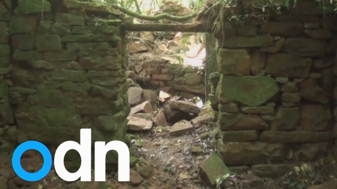 Were these secret jungle ruins a Nazi hide-out?