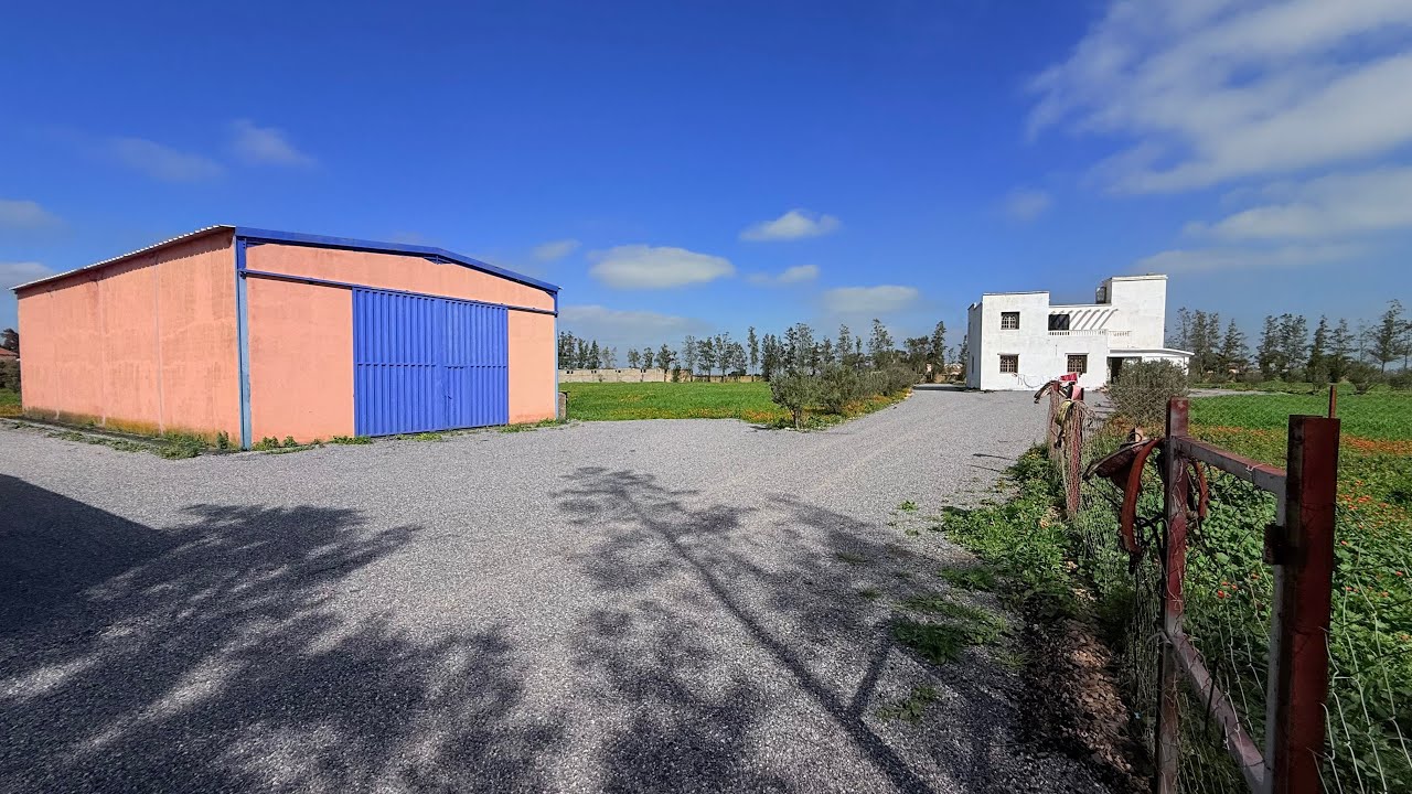 فيرمة للبيع 2 هكتار ونصف لعشاق السكن الهادىء والبادية والموقع زين مع ديبوا نواحي مدينة برشيد مرحبا 🤩