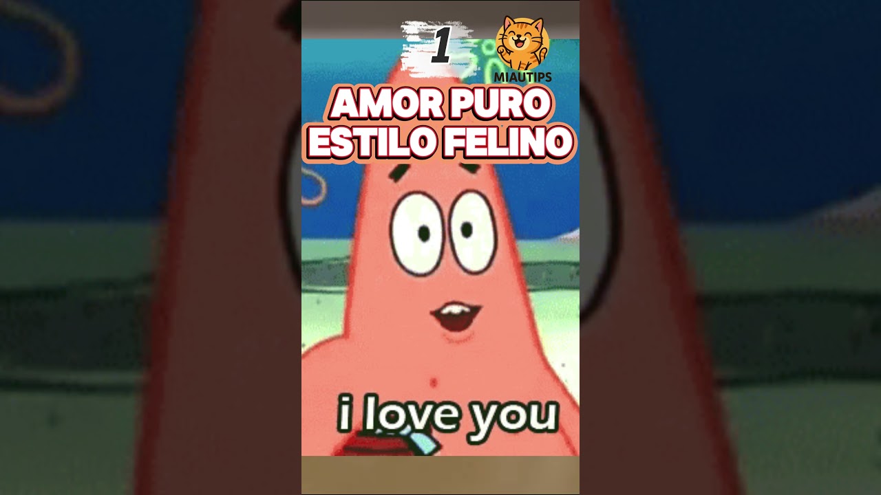 ERES el FAVORITO de tu MICHI