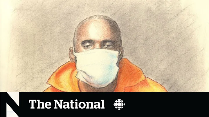 Accused Toronto killers legally owned arsenal spar...