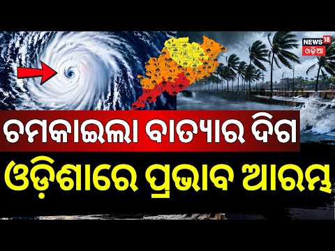 ଆରମ୍ଭ ହେଲା  Odisha Weather Update: Continuous Rain Makes It Difficult to Step Out in Jagatsinghpur